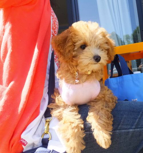 2014_09279-25ゆずちゃん