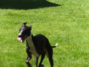 2014_09029-1バース２