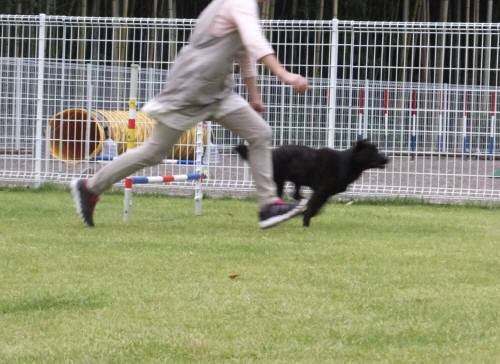 2014_09249-23さくらジャンプ