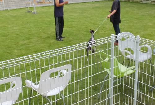 2014_09109-8しつけ