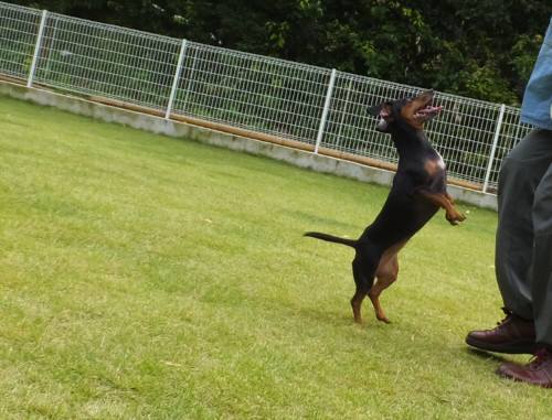 2014_09249-23華ちゃん