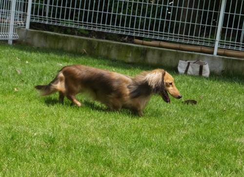 2014_09069-4リリー