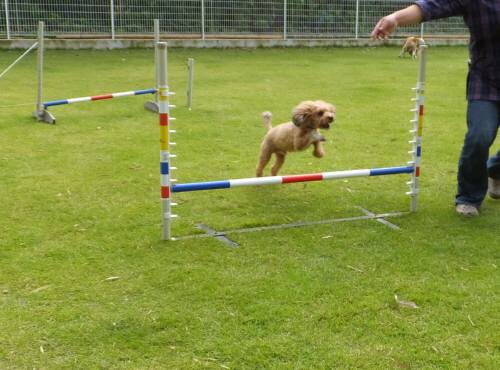 2014_09209-17カール