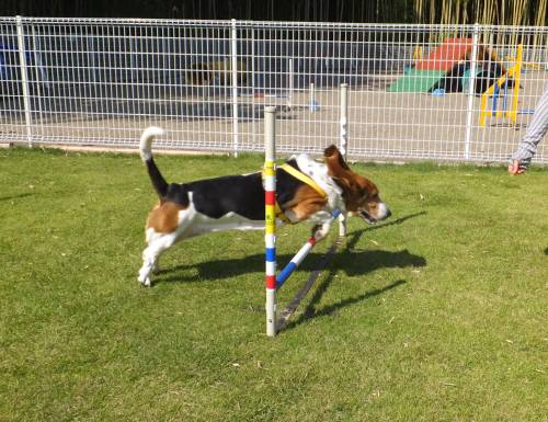 2014_09229-19マロンちゃん