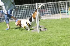 2014_09029-1マロンジャンプ