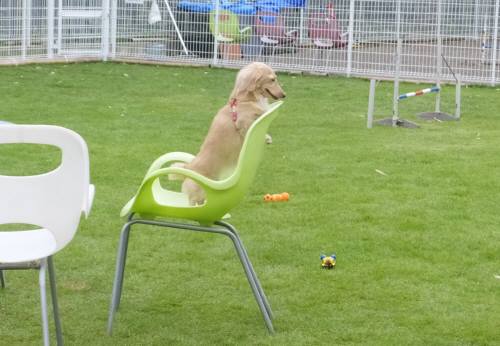 2014_09079-5ハナいす