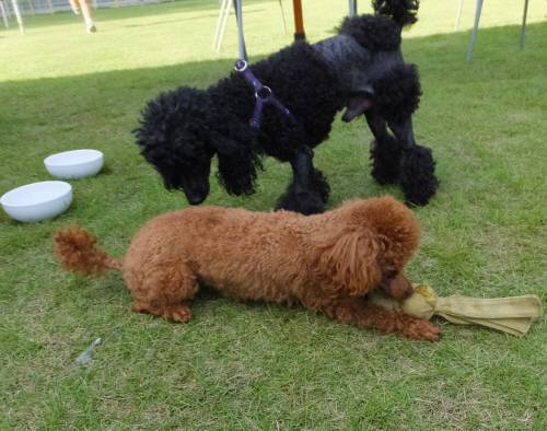 2014_09149-11クレア