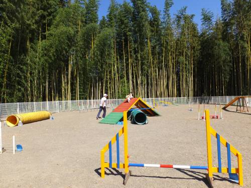 2014_09219-18サンタアジ