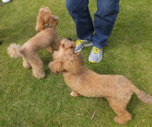 2014_09209-17マルクルカール