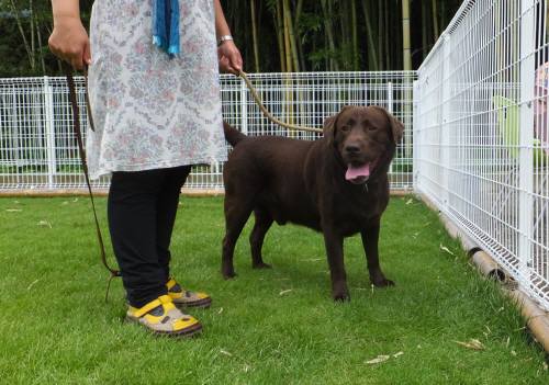 2014_09079-5チャンプ