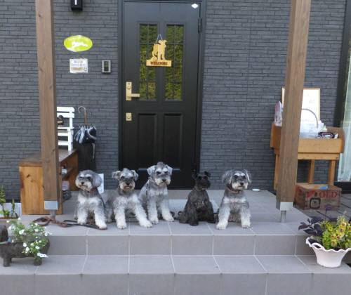 2014_09219-18記念写真