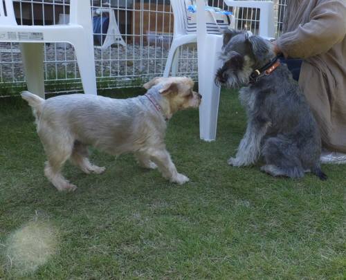 2014_09239-21ロイしんじ