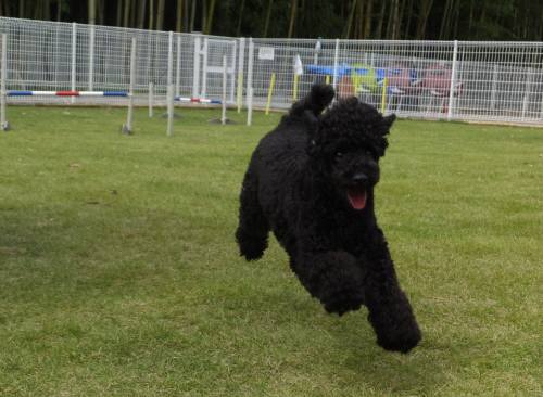 2014_09199-16もぐちゃん