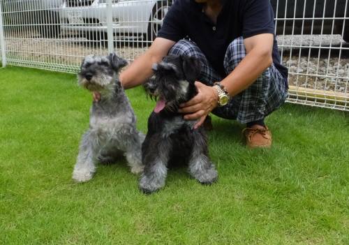 2014_09039-2クレアルネア