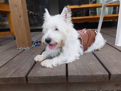 2014_09179-15もも休憩