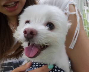 2014_09109-8こうすけ３