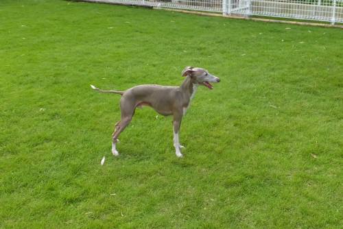 2014_09069-4とむくん