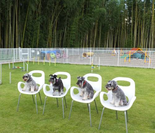 2014_09169-14記念写真