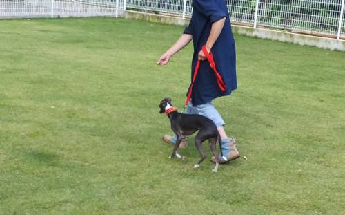 2014_09229-19バースしつけ