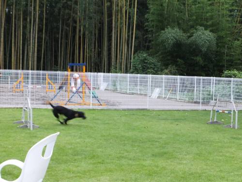 2014_09039-2ハルちゃん