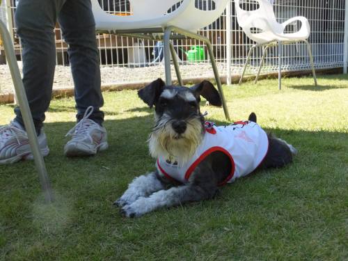 2014_09299-30むくちゃん