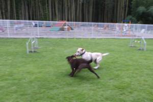 2014_09039-2ルルなっちゃん