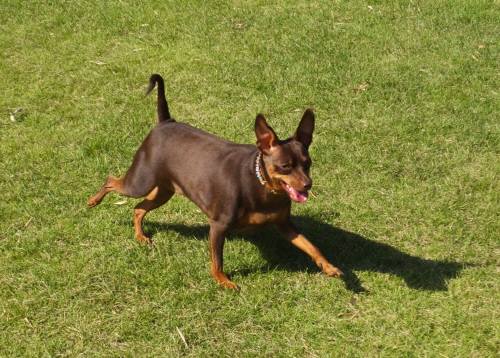 2014_09279-25きょんちゃん