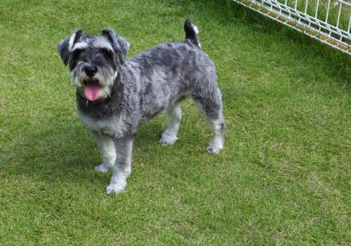 2014_09149-10もぐちゃん