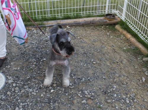 2014_09219-18まめちゃん