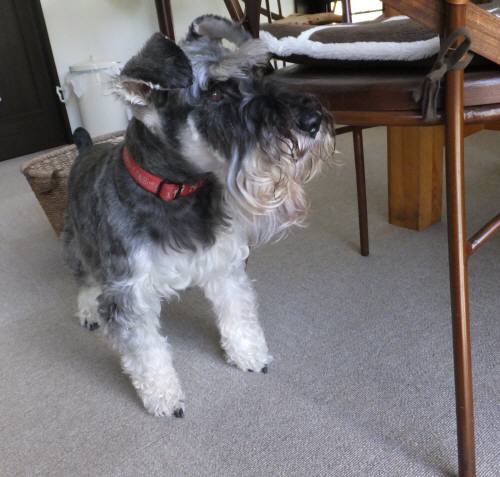 2014_09149-10めいちゃん