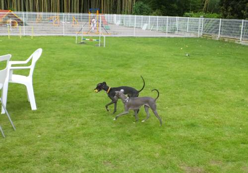 2014_09039-2モネマーブル