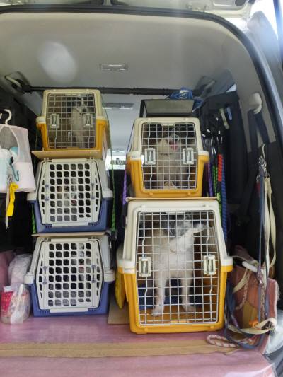 2014_09219-18ラッピーファミリー