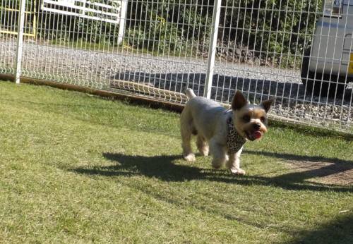 2014_09299-30しんじくん