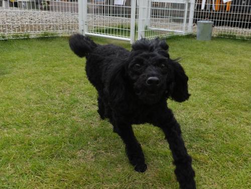 2014_09199-16ウルーちゃん