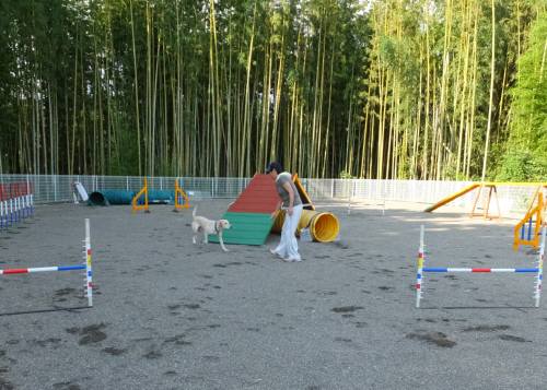 2014_09029-1なっちゃん