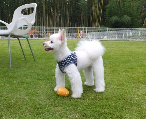 2014_09109-8こうすけ