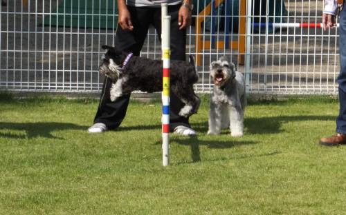 2014_09169-14りんジャンプ