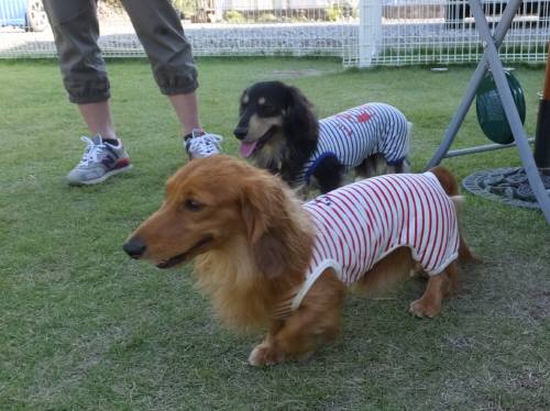 2014_09219-18ライレイ