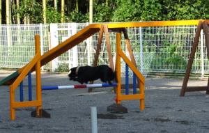 2014_09029-1ハルちゃんジャンプ