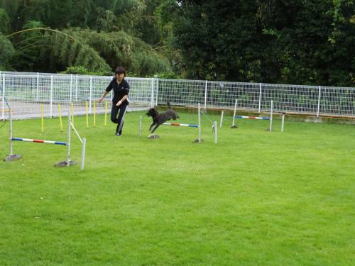 2014_09079-5さくらじゃんぷ