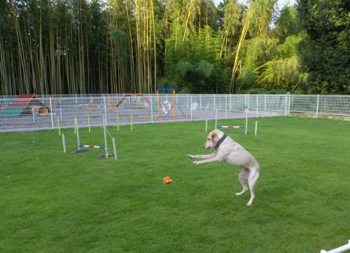 2014_09029-1なっちゃんおっとっと