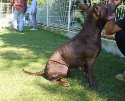 2014_09219-18サラちゃん