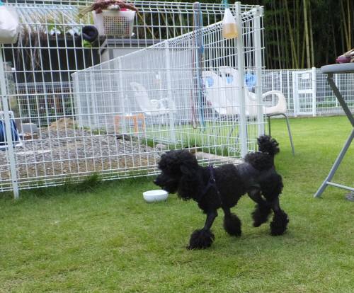 2014_09149-1ロジャー