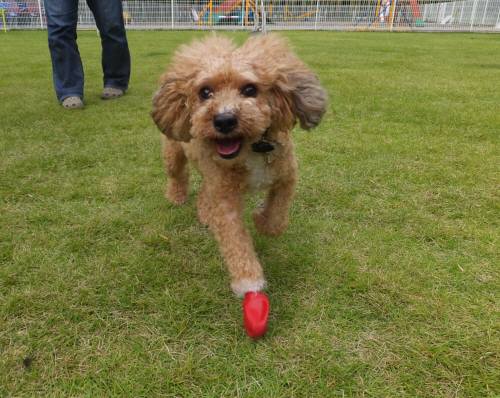 2014_09199-16カール君