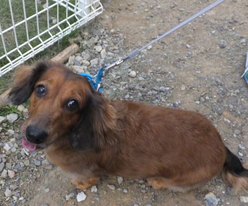 2014_09279-25くぅちゃん