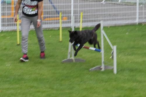 2014_09059-3さくら