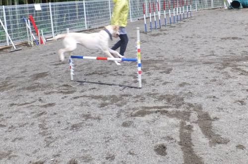 2014_09039-2なっちゃん