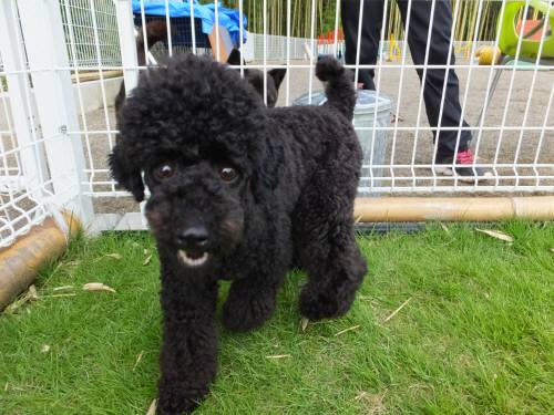 2014_09069-4もぐちゃん