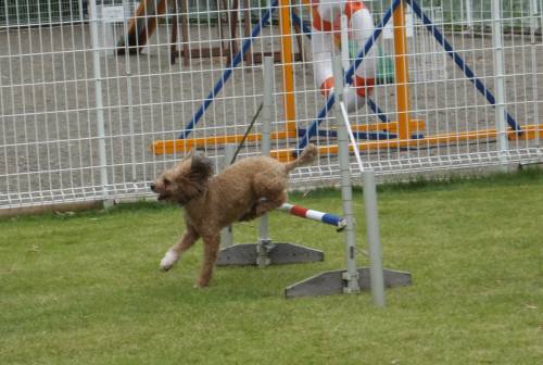 2014_09249-23カール君