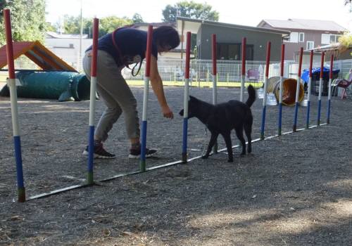 2014_09269-24さくらスルー